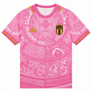Camiseta especial equipación 23-24 Italia